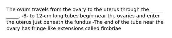 The ovum travels from the ovary to the uterus through the _____ _____. -8- to 12-cm long tubes begin near the ovaries and enter the uterus just beneath the fundus -The end of the tube near the ovary has fringe-like extensions called fimbriae