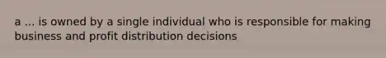 a ... is owned by a single individual who is responsible for making business and profit distribution decisions