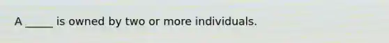 A _____ is owned by two or more individuals.