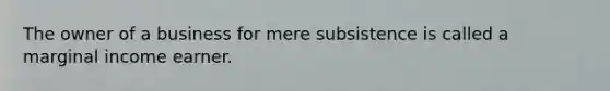 The owner of a business for mere subsistence is called a marginal income earner.