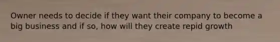 Owner needs to decide if they want their company to become a big business and if so, how will they create repid growth