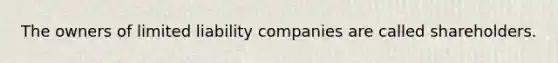 The owners of limited liability companies are called shareholders.