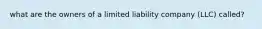 what are the owners of a limited liability company (LLC) called?