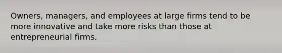 Owners, managers, and employees at large firms tend to be more innovative and take more risks than those at entrepreneurial firms.