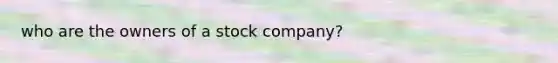 who are the owners of a stock company?