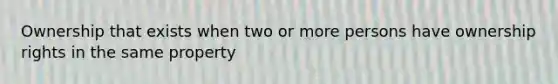 Ownership that exists when two or more persons have ownership rights in the same property