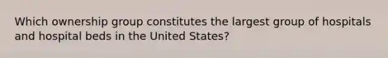 Which ownership group constitutes the largest group of hospitals and hospital beds in the United States?