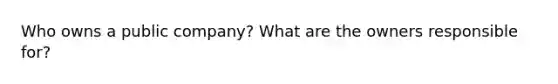 Who owns a public company? What are the owners responsible for?