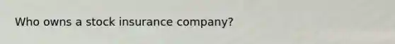 Who owns a stock insurance company?