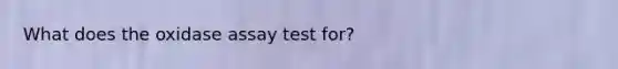 What does the oxidase assay test for?