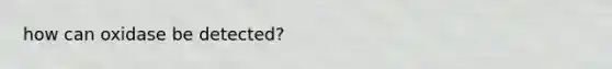 how can oxidase be detected?