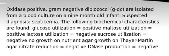 Oxidase positive, gram negative diplococci (g-dc) are isolated from a blood culture on a nine month old infant. Suspected diagnosis: septicemia. The following biochemical characteristics are found: glucose utilization = positive maltose utilization = positive lactose utilization = negative sucrose utilization = negative no growth on nutrient agar growth on Thayer-Martin agar nitrate reduction = negative DNase production = negative