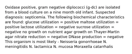 Oxidase positive, gram negative diplococci (g-dc) are isolated from a blood culture on a nine month old infant. Suspected diagnosis: septicemia. The following biochemical characteristics are found: glucose utilization = positive maltose utilization = positive lactose utilization = negative sucrose utilization = negative no growth on nutrient agar growth on Thayer-Martin agar nitrate reduction = negative DNase production = negative This organism is most likely - Neisseria gonorrhoeae N. meningitidis N. lactamica N. mucosa Moraxella catarrhalis