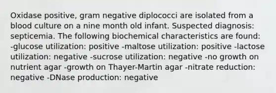 Oxidase positive, gram negative diplococci are isolated from a blood culture on a nine month old infant. Suspected diagnosis: septicemia. The following biochemical characteristics are found: -glucose utilization: positive -maltose utilization: positive -lactose utilization: negative -sucrose utilization: negative -no growth on nutrient agar -growth on Thayer-Martin agar -nitrate reduction: negative -DNase production: negative