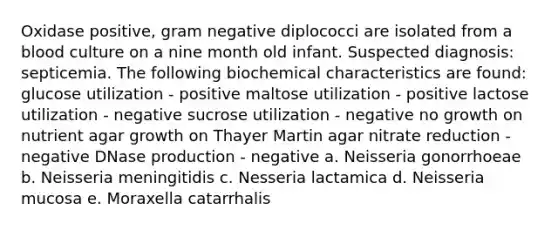 Oxidase positive, gram negative diplococci are isolated from a blood culture on a nine month old infant. Suspected diagnosis: septicemia. The following biochemical characteristics are found: glucose utilization - positive maltose utilization - positive lactose utilization - negative sucrose utilization - negative no growth on nutrient agar growth on Thayer Martin agar nitrate reduction - negative DNase production - negative a. Neisseria gonorrhoeae b. Neisseria meningitidis c. Nesseria lactamica d. Neisseria mucosa e. Moraxella catarrhalis