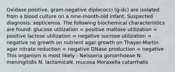 Oxidase positive, gram-negative diplococci (g-dc) are isolated from a blood culture on a nine-month-old infant. Suspected diagnosis: septicemia. The following biochemical characteristics are found: glucose utilization = positive maltose utilization = positive lactose utilization = negative sucrose utilization = negative no growth on nutrient agar growth on Thayer-Martin agar nitrate reduction = negative DNase production = negative This organism is most likely - Neisseria gonorrhoeae N. meningitidis N. lactamicaN. mucosa Moraxella catarrhalis