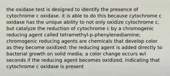 the oxidase test is designed to identify the presence of cytochrome c oxidase. it is able to do this because cytochrome c oxidase has the unique ability to not only oxidize cytochrome c, but catalyze the reduction of cytochrome c by a chromogenic reducing agent called tetramethyl-p-phenylenediamine; chromogenic reducing agents are chemicals that develop color as they become oxidized; the reducing agent is added directly to bacterial growth on solid media; a color change occurs w/i seconds if the reducing agent becomes oxidized, indicating that cytochrome c oxidase is present