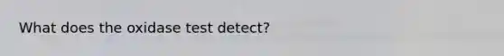 What does the oxidase test detect?