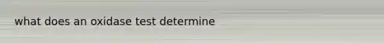what does an oxidase test determine