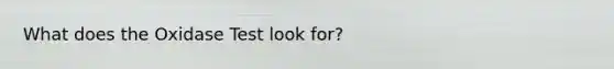 What does the Oxidase Test look for?