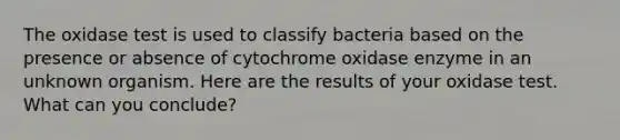 The oxidase test is used to classify bacteria based on the presence or absence of cytochrome oxidase enzyme in an unknown organism. Here are the results of your oxidase test. What can you conclude?