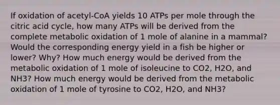 If oxidation of acetyl-CoA yields 10 ATPs per mole through the citric acid cycle, how many ATPs will be derived from the complete metabolic oxidation of 1 mole of alanine in a mammal? Would the corresponding energy yield in a fish be higher or lower? Why? How much energy would be derived from the metabolic oxidation of 1 mole of isoleucine to CO2, H2O, and NH3? How much energy would be derived from the metabolic oxidation of 1 mole of tyrosine to CO2, H2O, and NH3?