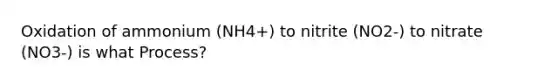 Oxidation of ammonium (NH4+) to nitrite (NO2-) to nitrate (NO3-) is what Process?