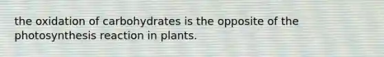 the oxidation of carbohydrates is the opposite of the photosynthesis reaction in plants.