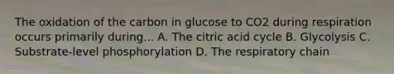 The oxidation of the carbon in glucose to CO2 during respiration occurs primarily during... A. The citric acid cycle B. Glycolysis C. Substrate-level phosphorylation D. The respiratory chain