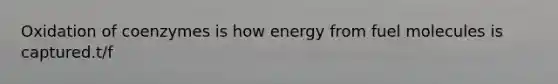 Oxidation of coenzymes is how energy from fuel molecules is captured.t/f