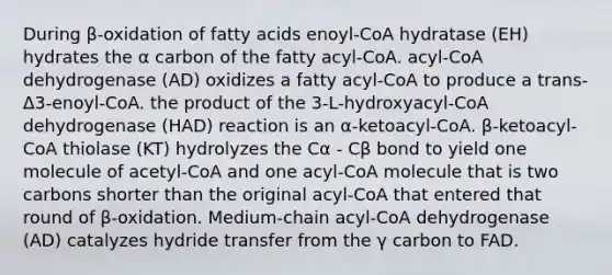 During β-oxidation of fatty acids enoyl-CoA hydratase (EH) hydrates the α carbon of the fatty acyl-CoA. acyl-CoA dehydrogenase (AD) oxidizes a fatty acyl-CoA to produce a trans-Δ3-enoyl-CoA. the product of the 3-L-hydroxyacyl-CoA dehydrogenase (HAD) reaction is an α-ketoacyl-CoA. β-ketoacyl-CoA thiolase (KT) hydrolyzes the Cα - Cβ bond to yield one molecule of acetyl-CoA and one acyl-CoA molecule that is two carbons shorter than the original acyl-CoA that entered that round of β-oxidation. Medium-chain acyl-CoA dehydrogenase (AD) catalyzes hydride transfer from the γ carbon to FAD.