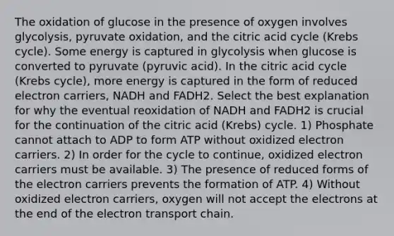 The oxidation of glucose in the presence of oxygen involves glycolysis, pyruvate oxidation, and the citric acid cycle (Krebs cycle). Some energy is captured in glycolysis when glucose is converted to pyruvate (pyruvic acid). In the citric acid cycle (Krebs cycle), more energy is captured in the form of reduced electron carriers, NADH and FADH2. Select the best explanation for why the eventual reoxidation of NADH and FADH2 is crucial for the continuation of the citric acid (Krebs) cycle. 1) Phosphate cannot attach to ADP to form ATP without oxidized electron carriers. 2) In order for the cycle to continue, oxidized electron carriers must be available. 3) The presence of reduced forms of the electron carriers prevents the formation of ATP. 4) Without oxidized electron carriers, oxygen will not accept the electrons at the end of the electron transport chain.