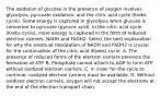 The oxidation of glucose in the presence of oxygen involves glycolysis, pyruvate oxidation, and the citric acid cycle (Krebs cycle). Some energy is captured in glycolysis when glucose is converted to pyruvate (pyruvic acid). In the citric acid cycle (Krebs cycle), more energy is captured in the form of reduced electron carriers, NADH and FADH2. Select the best explanation for why the eventual reoxidation of NADH and FADH2 is crucial for the continuation of the citric acid (Krebs) cycle. A. The presence of reduced forms of the electron carriers prevents the formation of ATP. B. Phosphate cannot attach to ADP to form ATP without oxidized electron carriers. C. In order for the cycle to continue, oxidized electron carriers must be available. D. Without oxidized electron carriers, oxygen will not accept the electrons at the end of the electron transport chain.