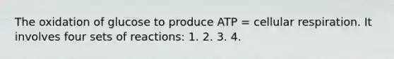 The oxidation of glucose to produce ATP = cellular respiration. It involves four sets of reactions: 1. 2. 3. 4.