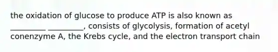 the oxidation of glucose to produce ATP is also known as _________ _________, consists of glycolysis, formation of acetyl conenzyme A, the Krebs cycle, and <a href='https://www.questionai.com/knowledge/k57oGBr0HP-the-electron-transport-chain' class='anchor-knowledge'>the electron transport chain</a>