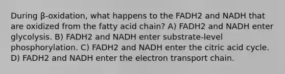 During β-oxidation, what happens to the FADH2 and NADH that are oxidized from the fatty acid chain? A) FADH2 and NADH enter glycolysis. B) FADH2 and NADH enter substrate-level phosphorylation. C) FADH2 and NADH enter the citric acid cycle. D) FADH2 and NADH enter the electron transport chain.