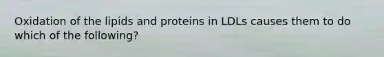 Oxidation of the lipids and proteins in LDLs causes them to do which of the following?