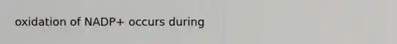 oxidation of NADP+ occurs during