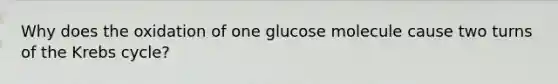 Why does the oxidation of one glucose molecule cause two turns of the Krebs cycle?