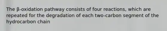 The β-oxidation pathway consists of four reactions, which are repeated for the degradation of each two-carbon segment of the hydrocarbon chain