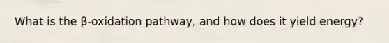 What is the β-oxidation pathway, and how does it yield energy?