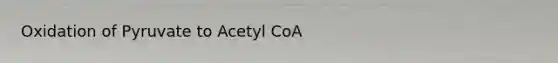 Oxidation of Pyruvate to Acetyl CoA