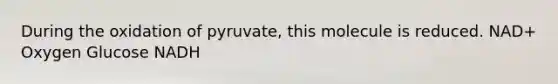 During the oxidation of pyruvate, this molecule is reduced. NAD+ Oxygen Glucose NADH