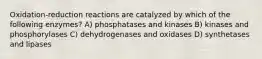 Oxidation-reduction reactions are catalyzed by which of the following enzymes? A) phosphatases and kinases B) kinases and phosphorylases C) dehydrogenases and oxidases D) synthetases and lipases