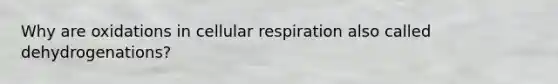 Why are oxidations in cellular respiration also called dehydrogenations?