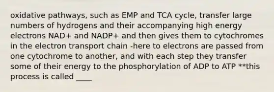 oxidative pathways, such as EMP and TCA cycle, transfer large numbers of hydrogens and their accompanying high energy electrons NAD+ and NADP+ and then gives them to cytochromes in the electron transport chain -here to electrons are passed from one cytochrome to another, and with each step they transfer some of their energy to the phosphorylation of ADP to ATP **this process is called ____