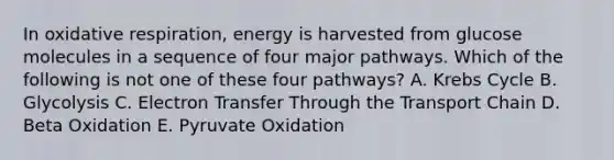 In oxidative respiration, energy is harvested from glucose molecules in a sequence of four major pathways. Which of the following is not one of these four pathways? A. Krebs Cycle B. Glycolysis C. Electron Transfer Through the Transport Chain D. Beta Oxidation E. Pyruvate Oxidation