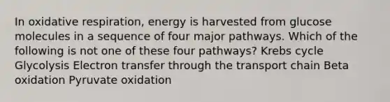 In oxidative respiration, energy is harvested from glucose molecules in a sequence of four major pathways. Which of the following is not one of these four pathways? Krebs cycle Glycolysis Electron transfer through the transport chain Beta oxidation Pyruvate oxidation