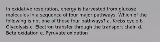 In oxidative respiration, energy is harvested from glucose molecules in a sequence of four major pathways. Which of the following is not one of these four pathways? a. Krebs cycle b. Glycolysis c. Electron transfer through the transport chain d. Beta oxidation e. Pyruvate oxidation