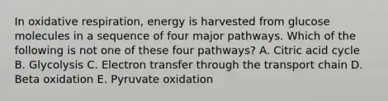 In oxidative respiration, energy is harvested from glucose molecules in a sequence of four major pathways. Which of the following is not one of these four pathways? A. Citric acid cycle B. Glycolysis C. Electron transfer through the transport chain D. Beta oxidation E. Pyruvate oxidation